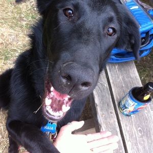 Meet your Posher, Sara